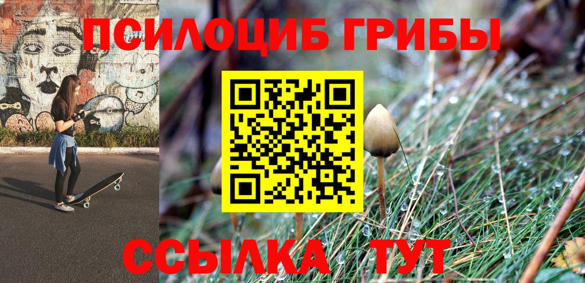 Кимовск  Галлюциногенные грибы Psilocybe  Вход с VPN 